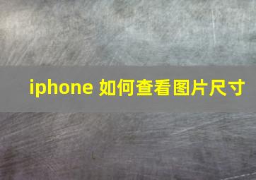 iphone 如何查看图片尺寸